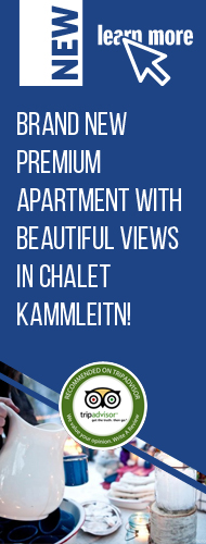 Brand new premium apartment with beautiful views in chalet kammleitn!